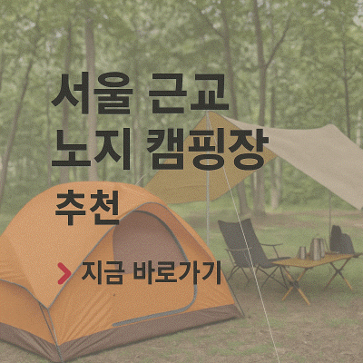 평화누리 캠핑장 예약 방법 피크닉 페스티벌 자전거길 캠핑장 카라반