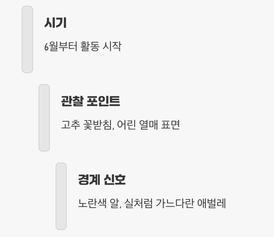 3. 골든타임, 초기 발견이 전부입니다