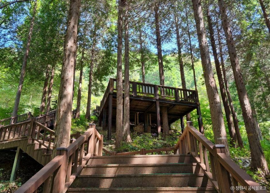 창원 편백치유의숲