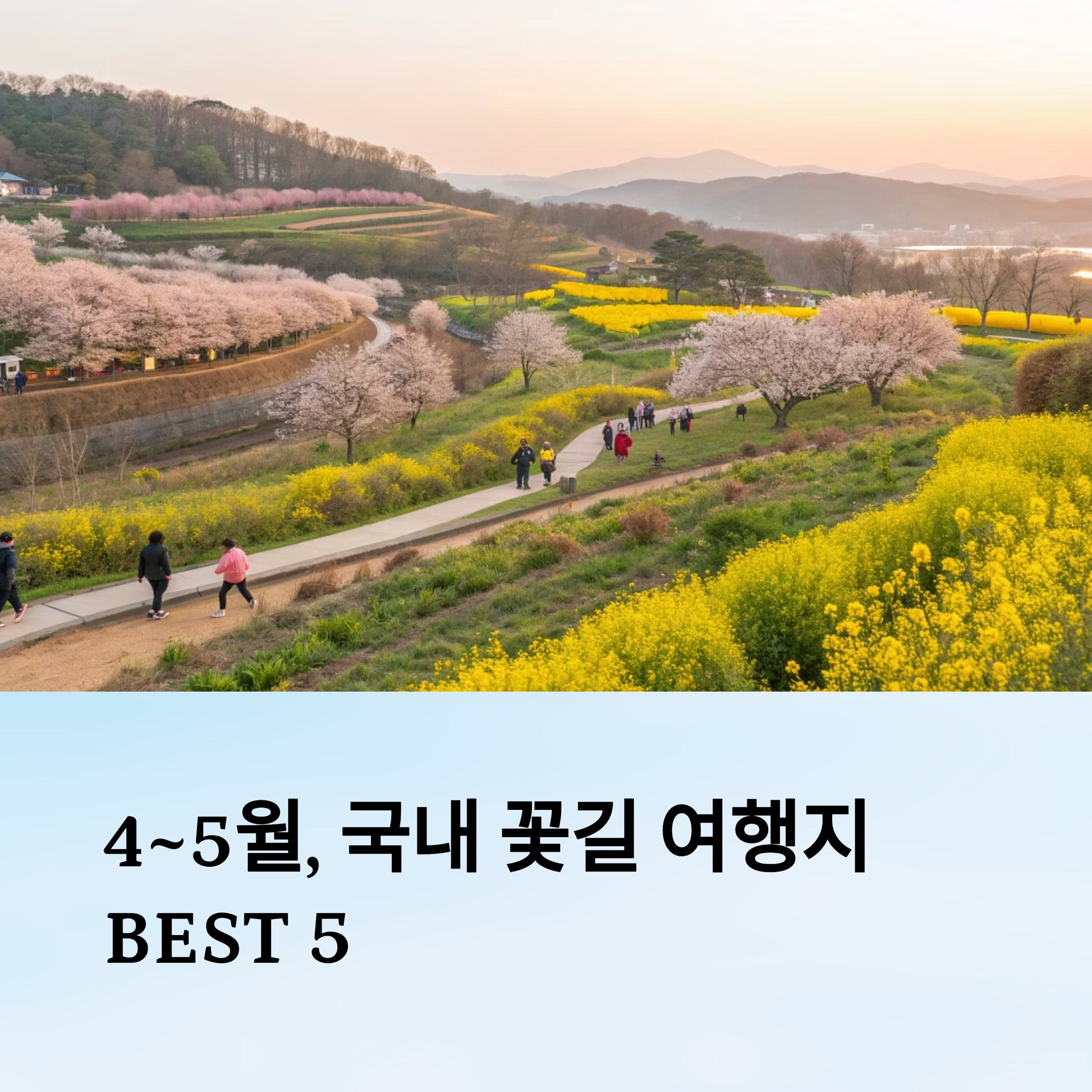 4월~5월 전국 꽃길 따라 떠나는 여행 코스 5선