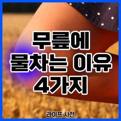 무릎에 물차는 이유