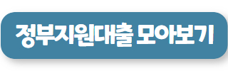 무조건 300 대출 정부지원 대출