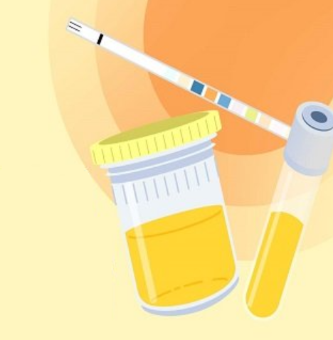 신우신염을 진단하는 방법