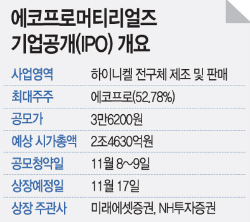 에코프로머티리얼즈 상장