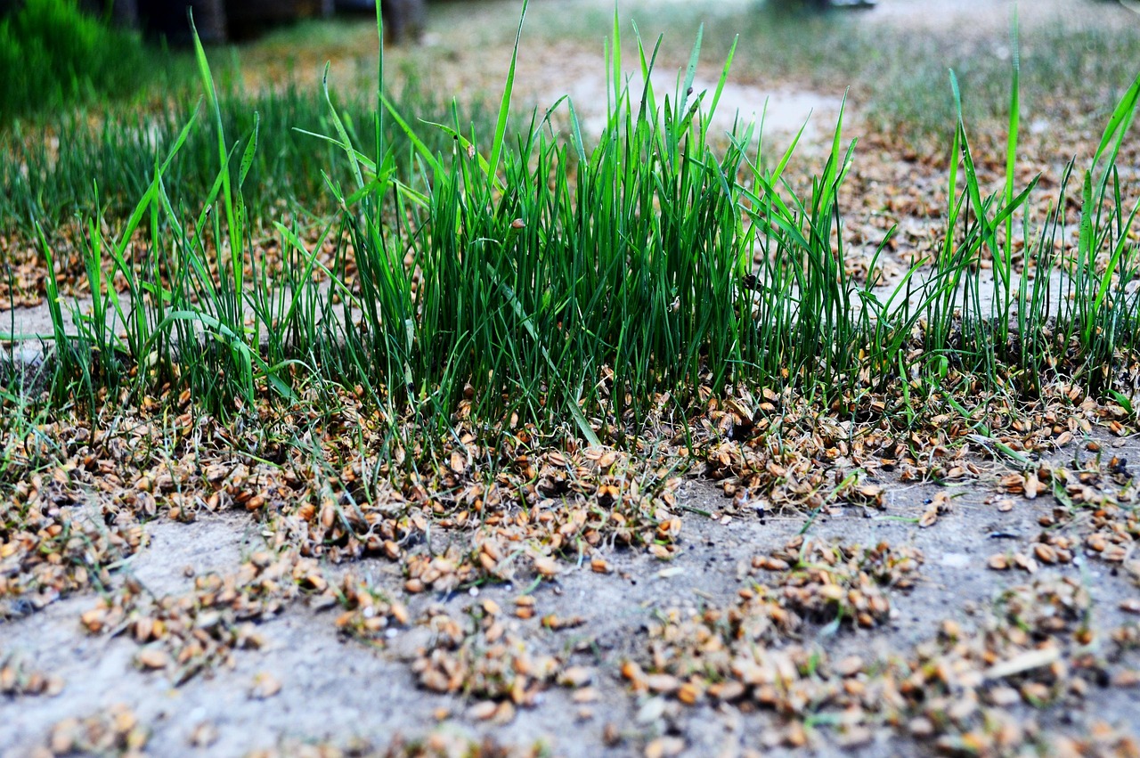 스마트 수직농장 자동화 방제