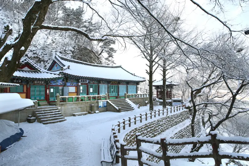 부모님과 떠나는 부여 효도 여행 코스