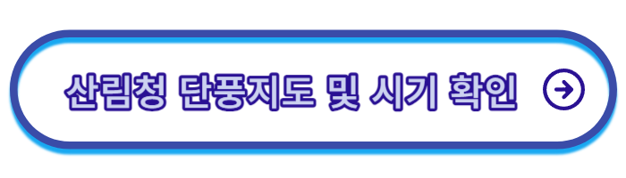 서울-단풍-절정시기