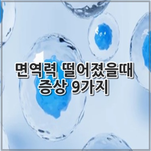 면역력 떨어졌을때 증상 9가지