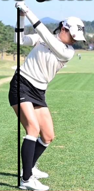 골프 백스윙 탑