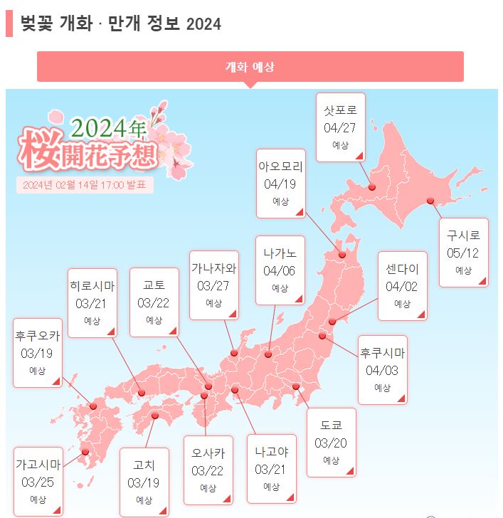 일본 벚꽃 개화 정보
