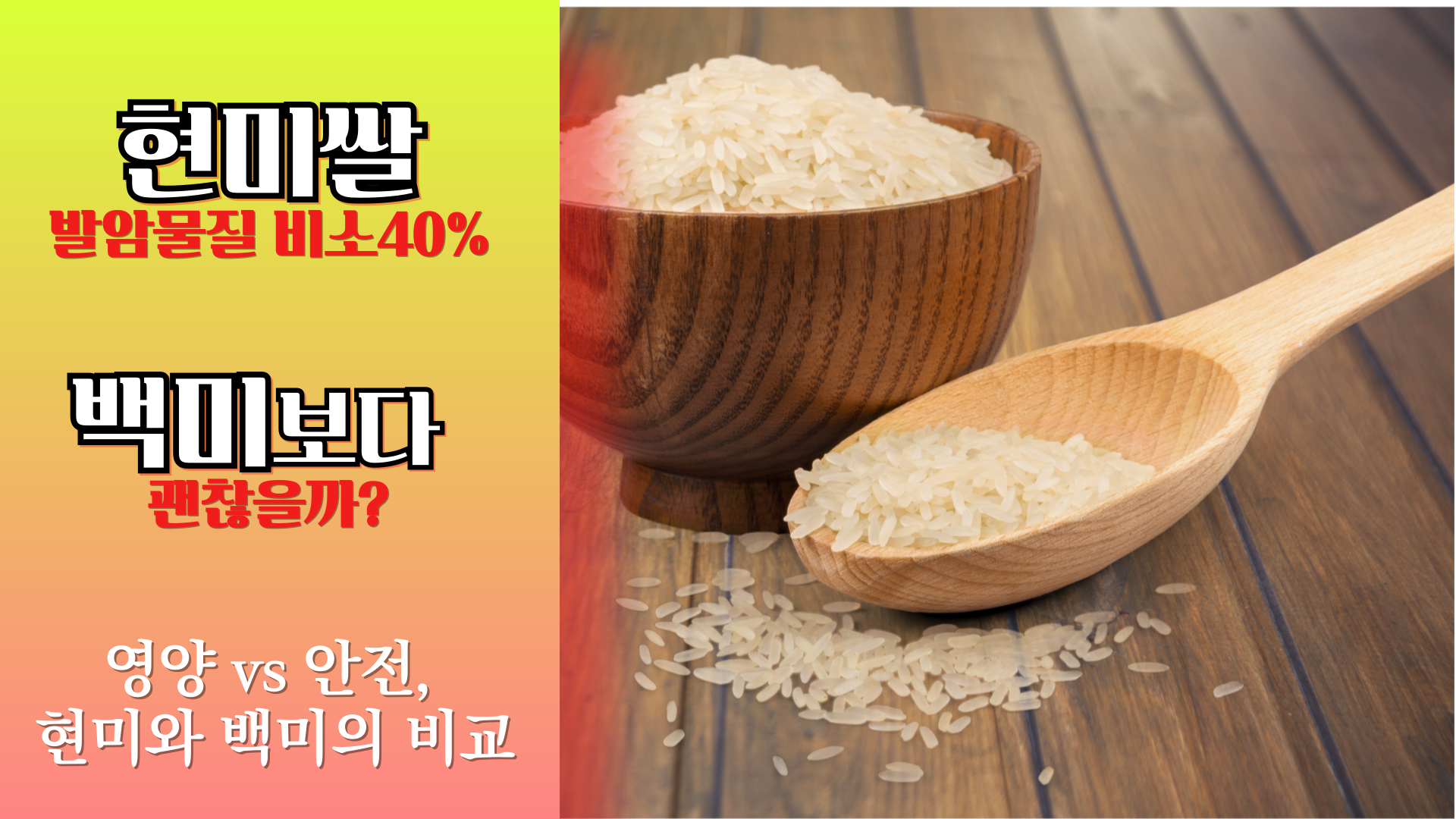 현미와 백미, 비소 함량 비교로 본 안전한 밥 선택 가이드