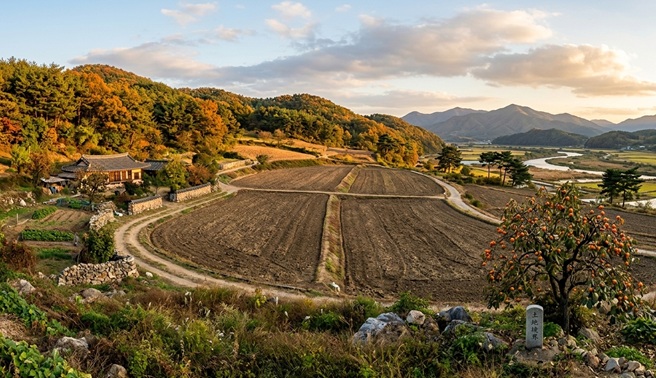 법정 지상권 관련 사진
