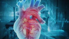 협심증 증상&amp;#44; 원인&amp;#44; 예방 총 정리 (2025 ver.)