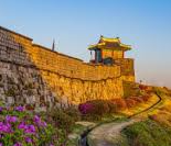 2025년 하반기 수원시 공공기관 통합채용 : 수원청소년재단