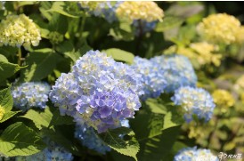 태안 추천 관광지 베스트10 관련 사진