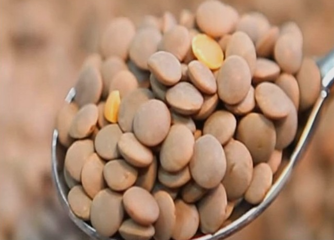 고지혈증에-좋은-음식