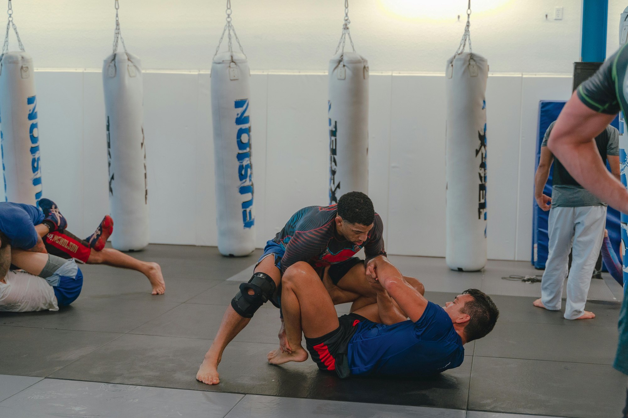 주짓수 관련 사진