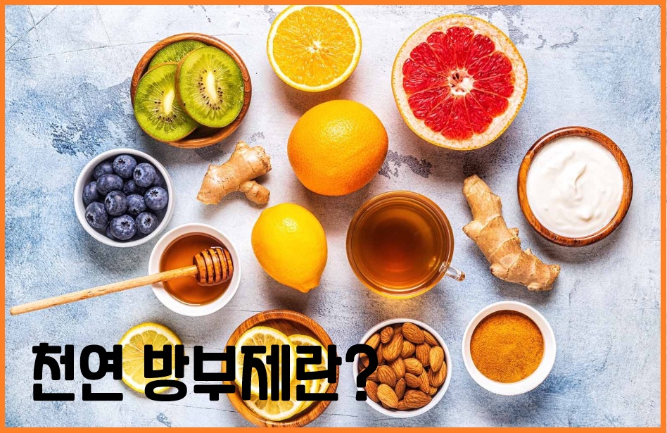 천연 방부제