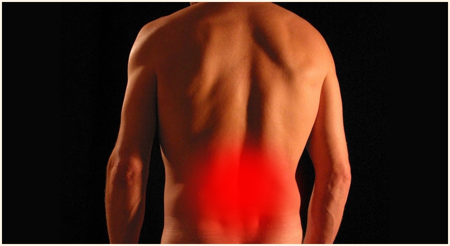 허리디스크란? 원인&amp;#44; 증상 치료법까지 한번에!