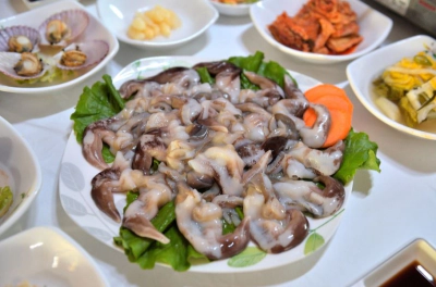 홍성남당항 새조개축제 기본정보 (2024)