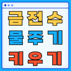 금전수 키우기