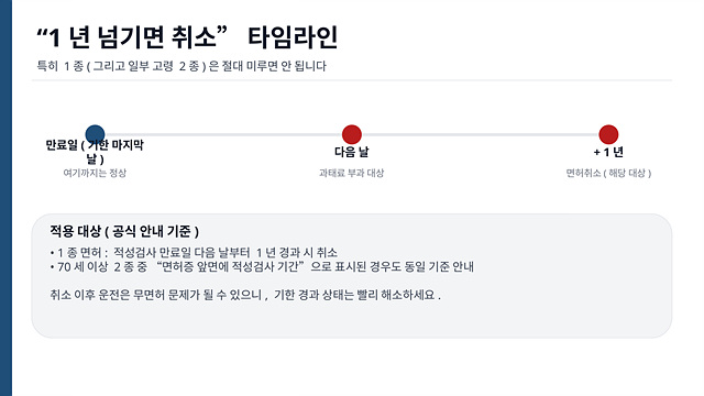 운전면허 적성검사 갱신, 과태료, 면허취소-핵심정리