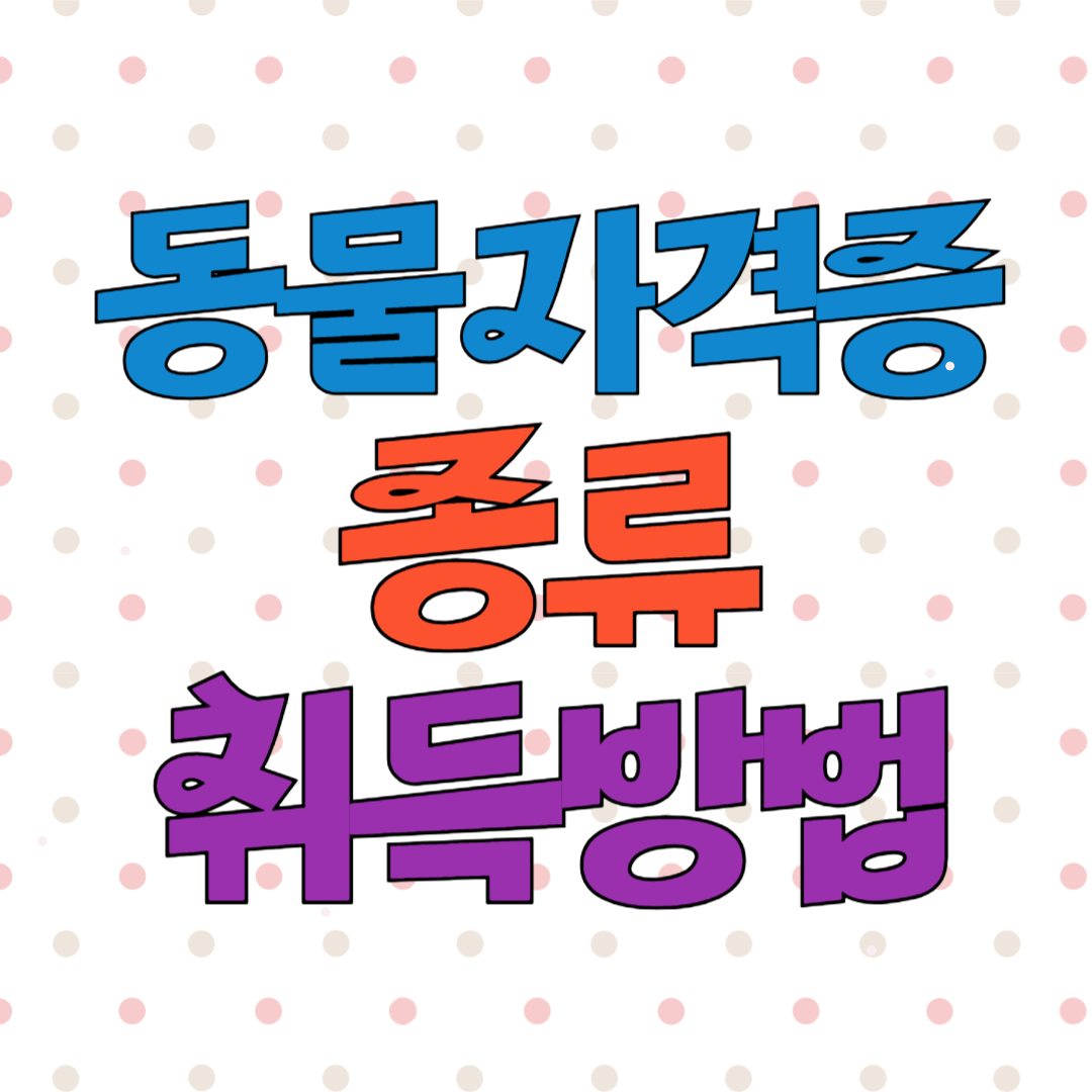 동물자격증 취득방법 종류