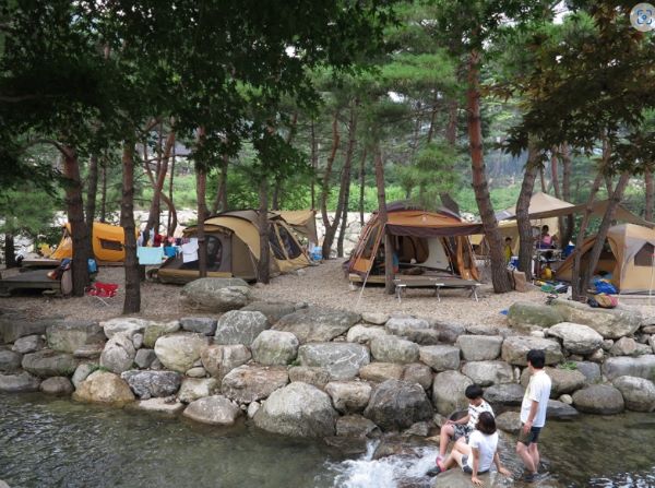 홀리데이파크_사이트