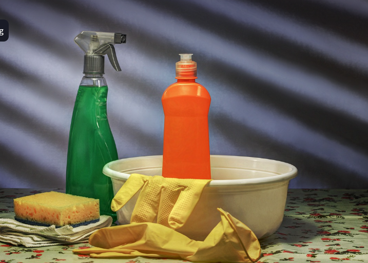 수세미 말고 키친 타월 실험 - 주방 세균의 습격을 막아라!