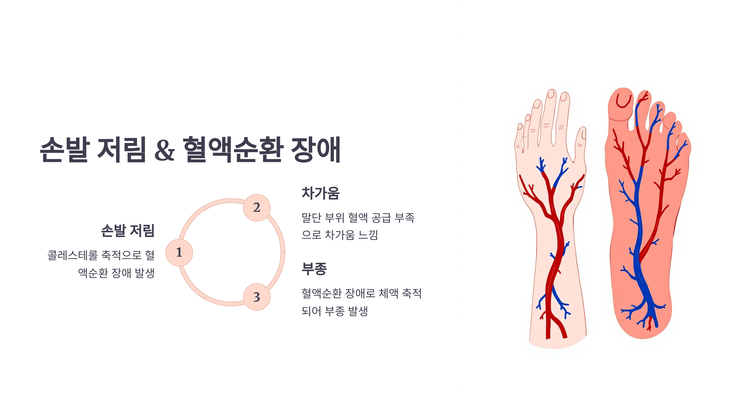 콜레스테롤과 관련된 사진입니다.