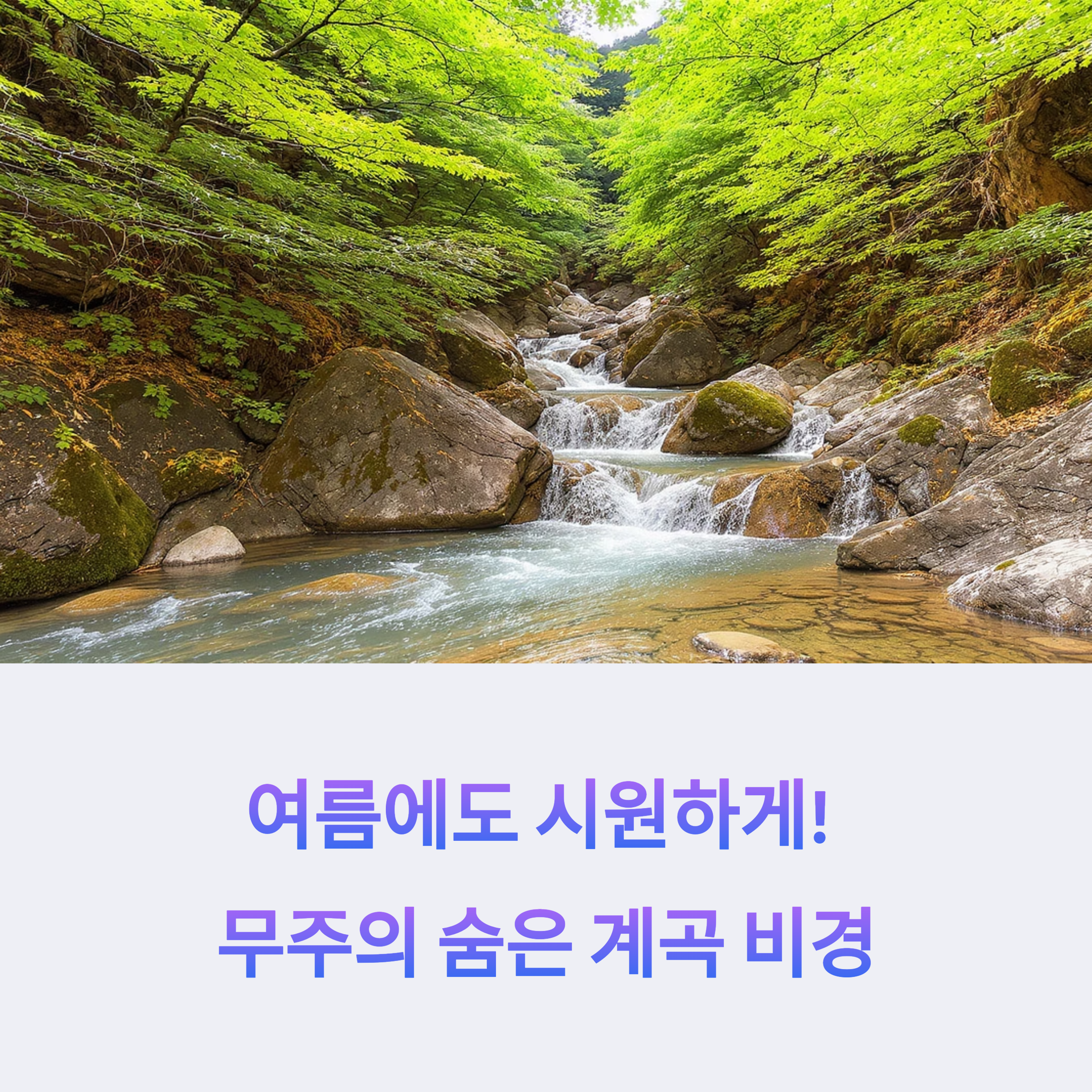 무주의 숨은 비경: 국내 최고의 계곡 여행지