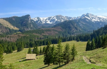 멜라토닌 영양제 효과, 수면 개선법, 복용 팁 총 정리 (2025 최신)