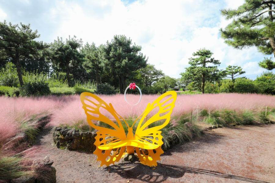 휴애리핑크뮬리축제