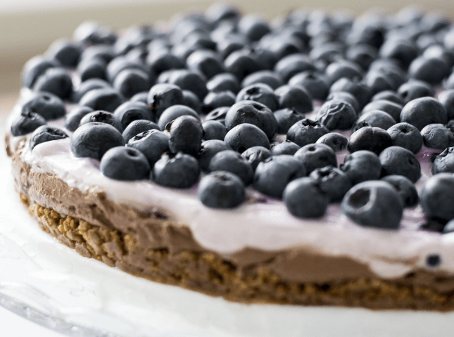 노화를 늦추는 음식 블루베리