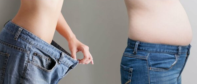 간헐적 단식이 뱃살에 효과적인 이유