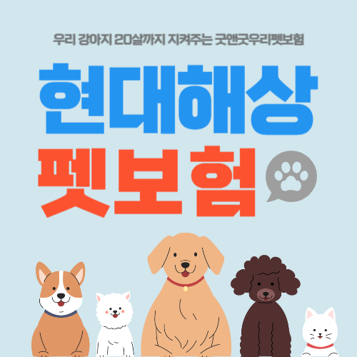 현대해상 펫보험-썸네일