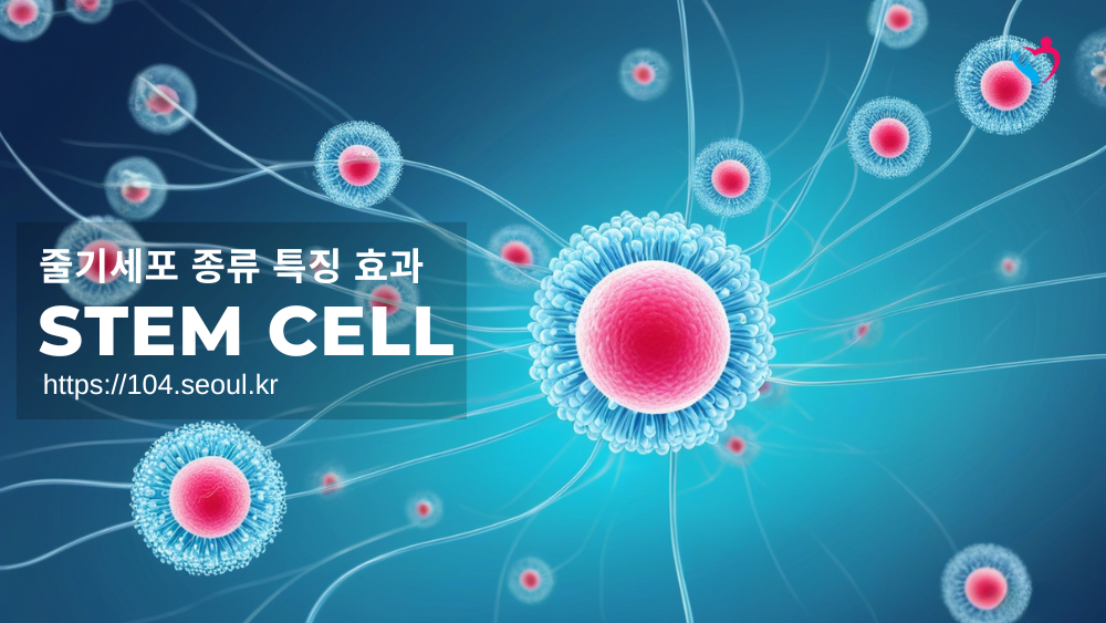 줄기세포 종류 특징 효과