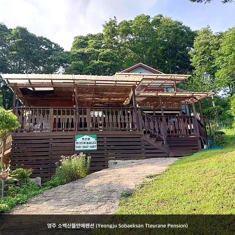 영주 소백산뜰안에펜션 (Yeongju Sobaeksan Tteurane Pension)_3
