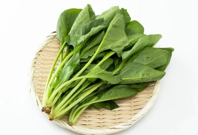 시금치 효능 및 부작용