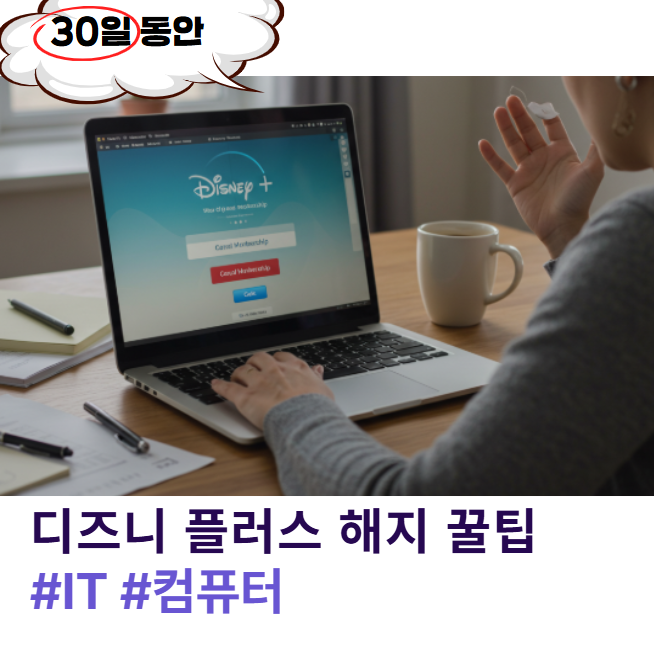 디즈니 플러스 해지, 더 쉽고 똑똑하게! 환불 꿀팁