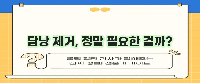 2024년 담낭 제거수술 관리와 필요성 꼼꼼히 확인해야 합니다