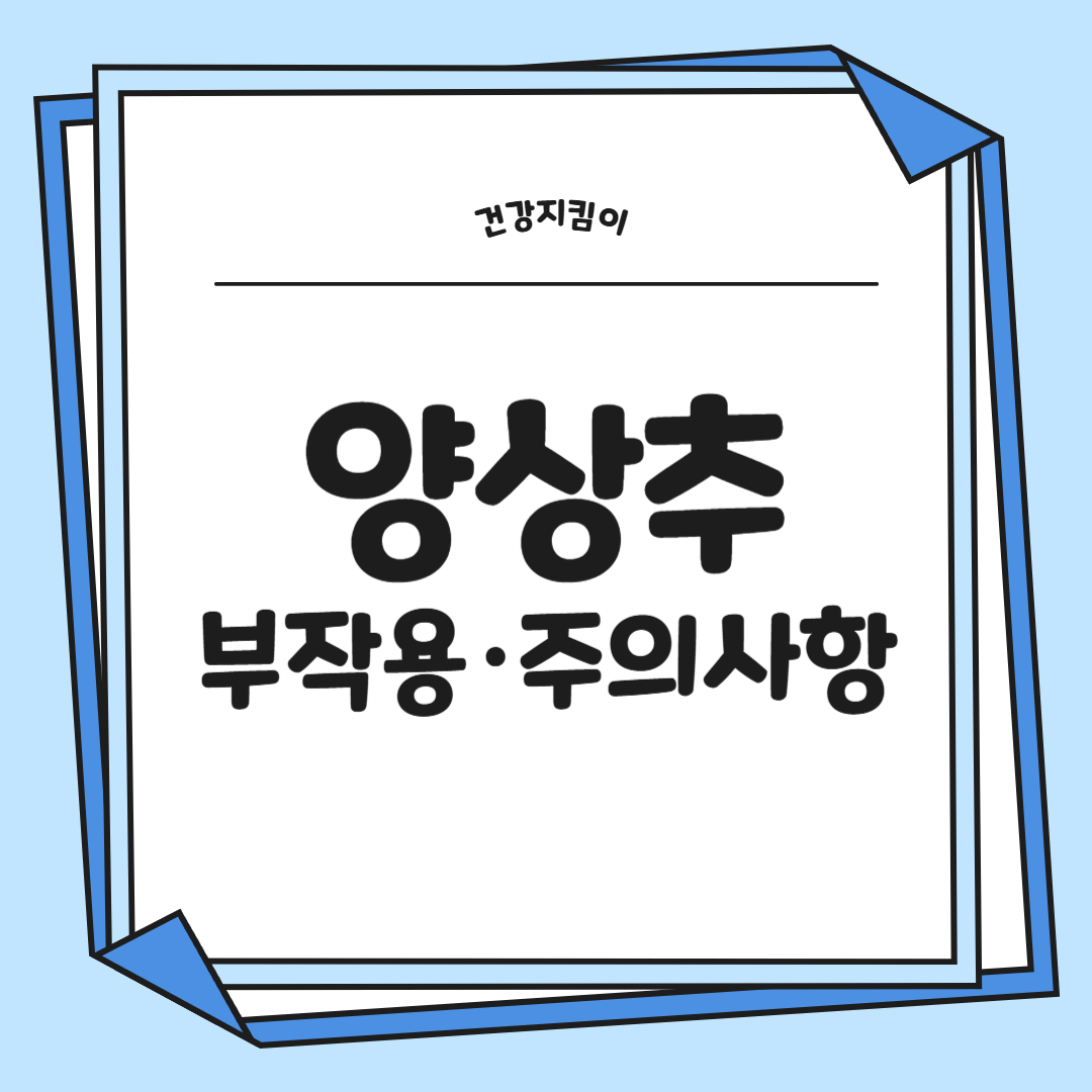 양상추 효능 부작용 고르는법 칼로리
