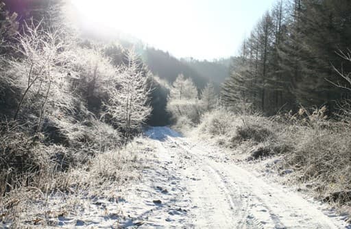 눈 속에 갇힌 동화 속 마을, 강원 홍천 &lsquo;가리산 자락마을&rsquo;