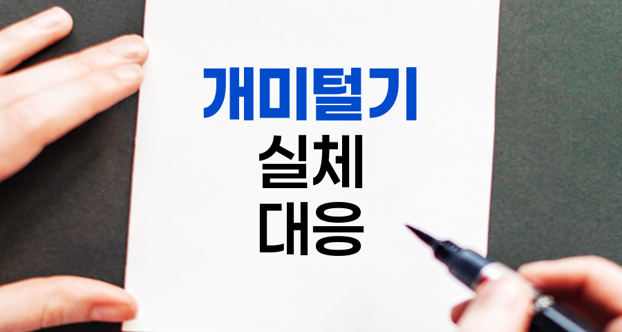 개미털기의 실체와 대응 전략