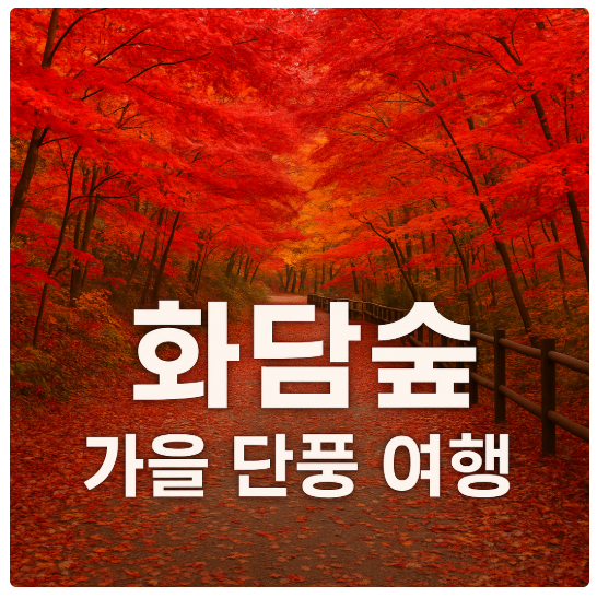 가을 단풍여행지 화담숲