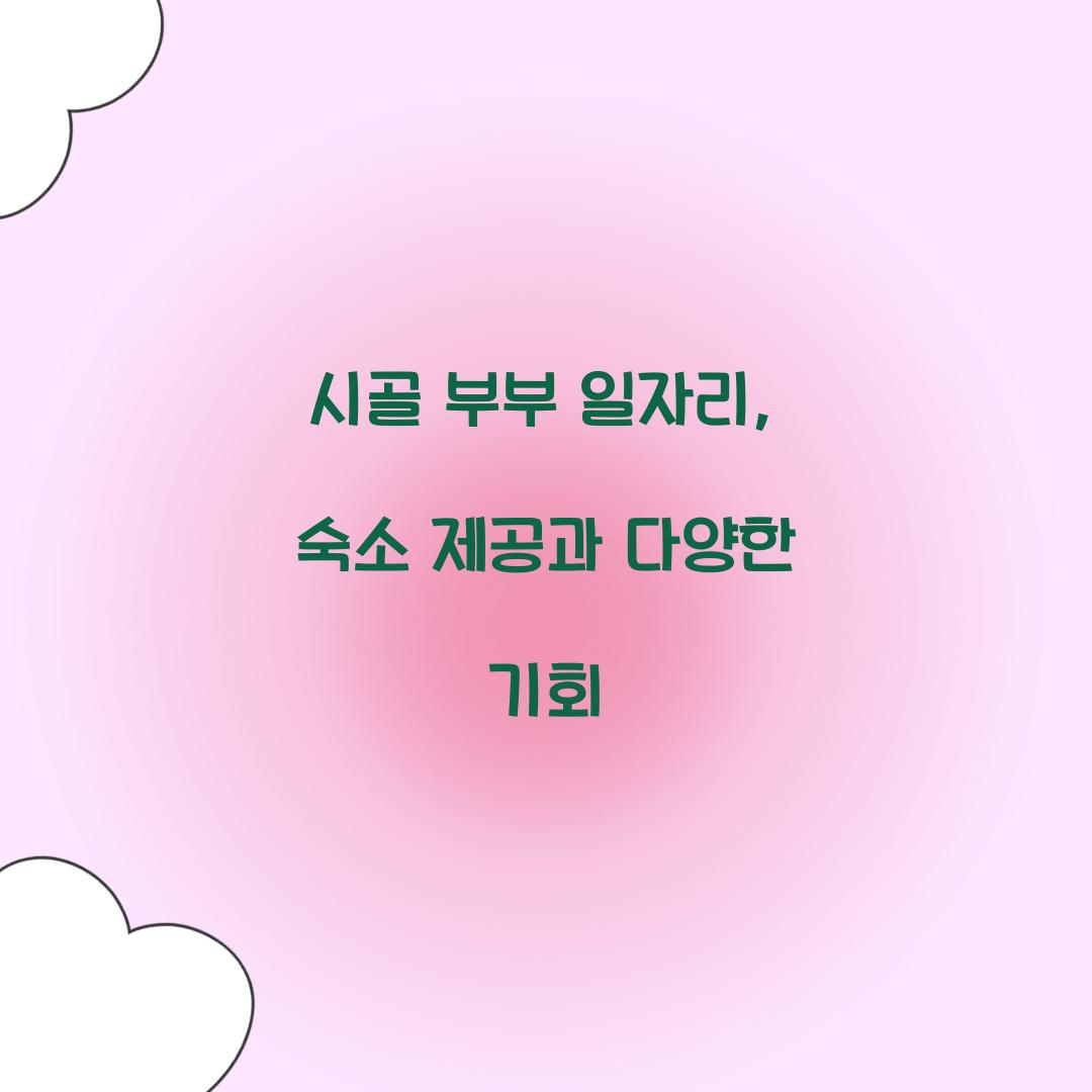 시골 부부 일자리