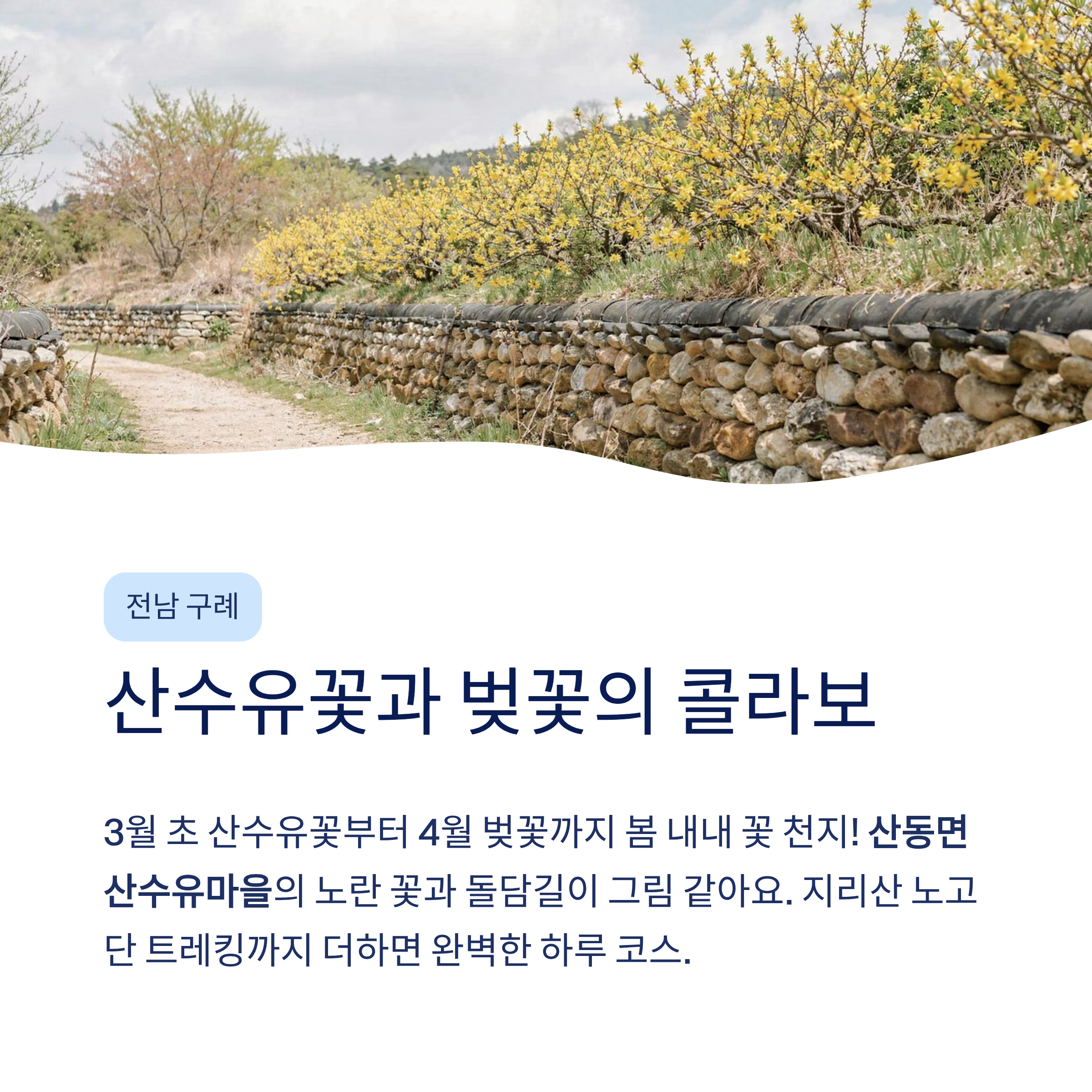 봄 국내 여행지 추천 – 40·50대가 진짜 좋아하는 가볼만한곳 총정리