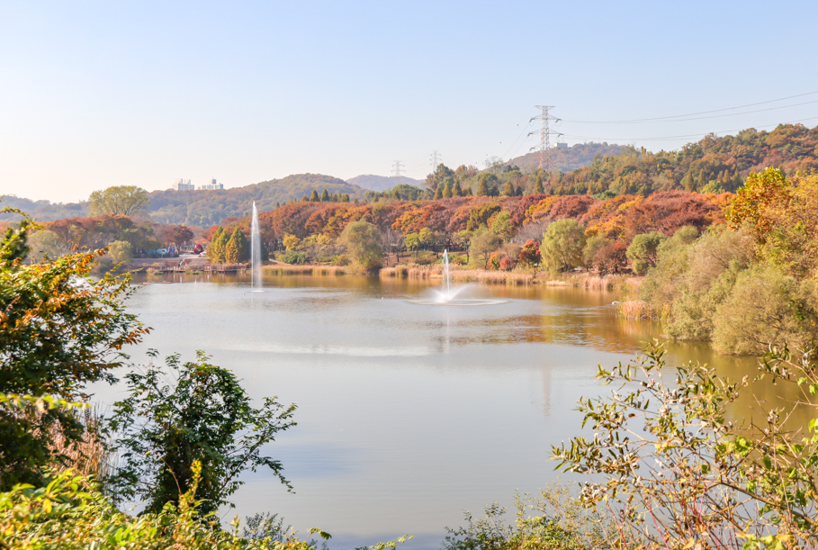 인천대공원1