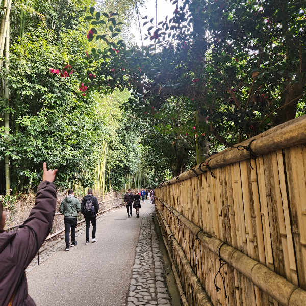 가는 길에 담장 너머 동백꽃을 보고 가르키는 중