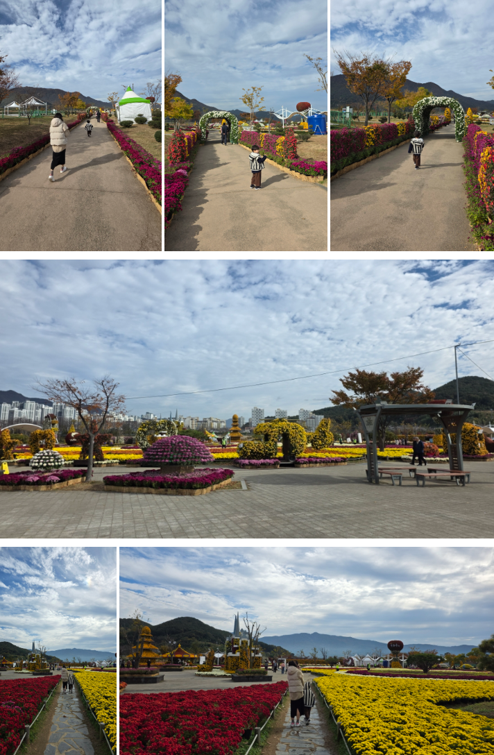 양산 아이와 가볼 만한 곳 : 황산공원 국화축제(11월) &amp; 불빛정원(1월) 방문 후기